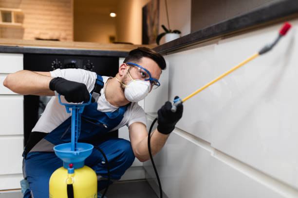 Best Exterminator Services  in Cotter, AR