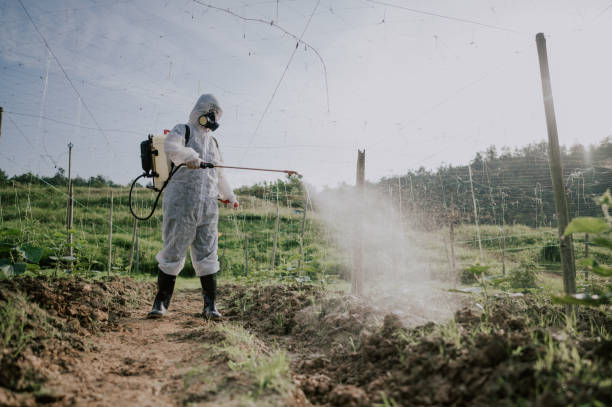 Wasp Removal Services in Cotter, AR