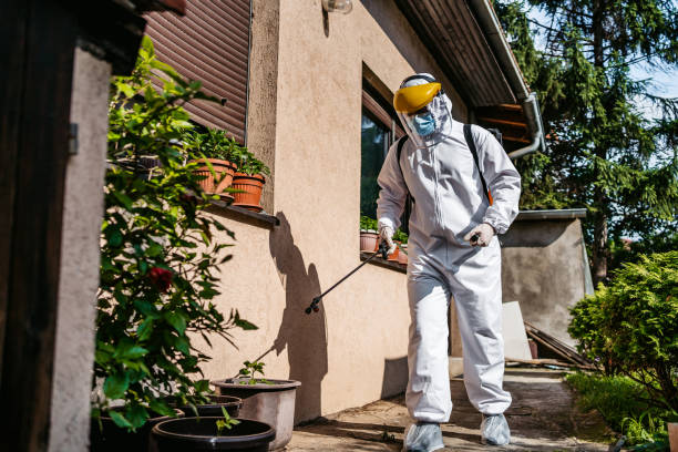 Best Cockroach Control Services  in Cotter, AR