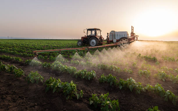 Best Pest Control Treatment  in Cotter, AR