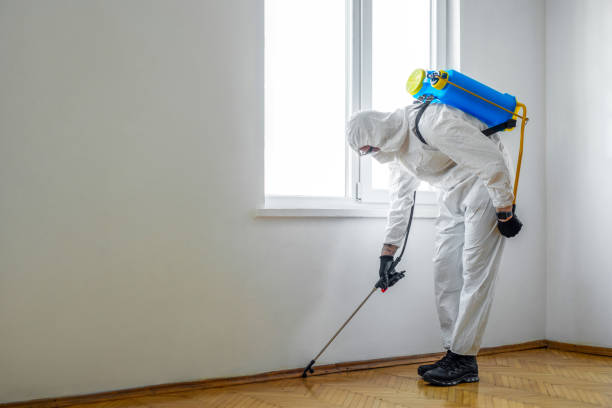 Best Wasp Removal Services  in Cotter, AR