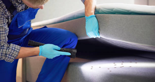 Best Mosquito Control Services  in Cotter, AR
