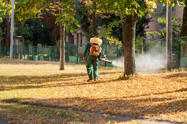 Best Wildlife Control Services  in Cotter, AR