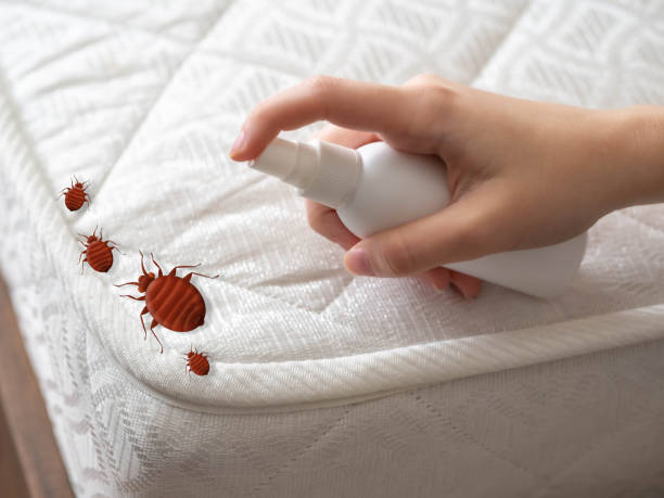 Best Mosquito Control Services  in Cotter, AR