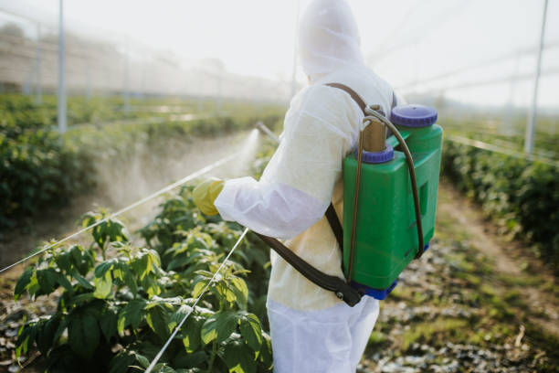 Cotter, AR Pest Control Company